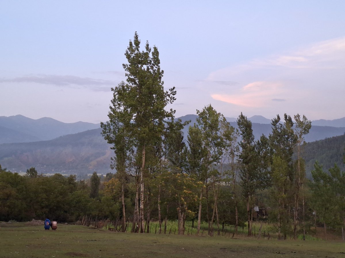 OmairBhat's tweet photo. sombre evenings https://t.co/rB8cvULb3Q