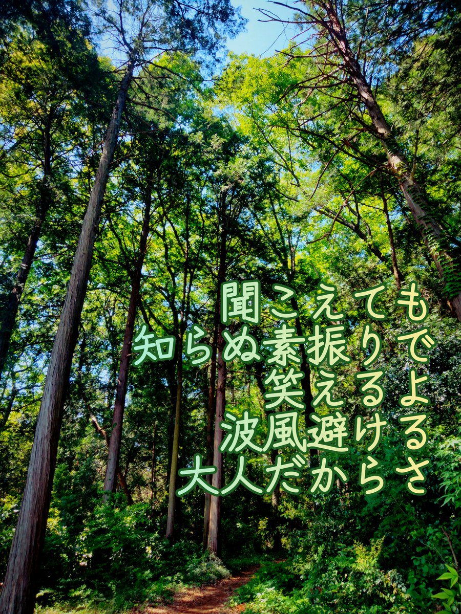 porcomago's tweet photo. 聞こえても
知らぬ素振りで
笑えるよ
波風避ける
大人だからさ

空気を読むとか、相手に合わせるとか、人を優先するとか、我慢するとかetc.
譲れない時はちゃんと言う。でも立場とか周りの力関係とか色々で自分の中で折り合いつける。
その方が、自分にとっても良いと割り切ってのお話。

#短歌 https://t.co/0ilSapYVP7