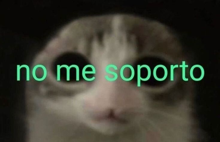 wikipistacho's tweet photo. https://t.co/QCPJeiow1B