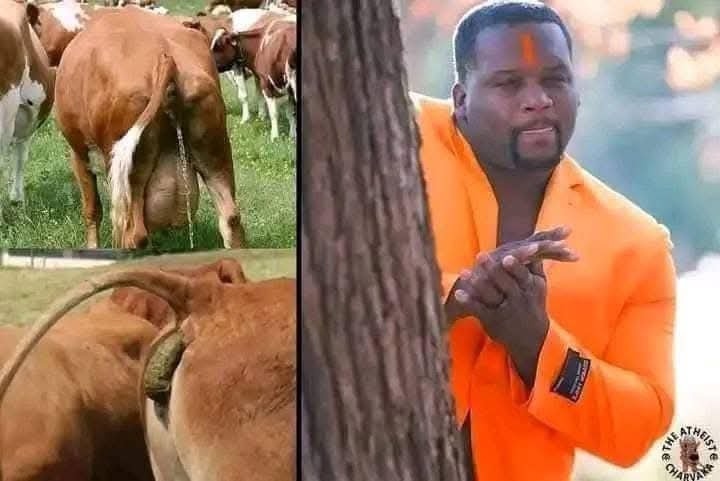 WorldWarPoo's tweet photo. Indians when they see a cow taking a shit https://t.co/5d7lLB5hDf