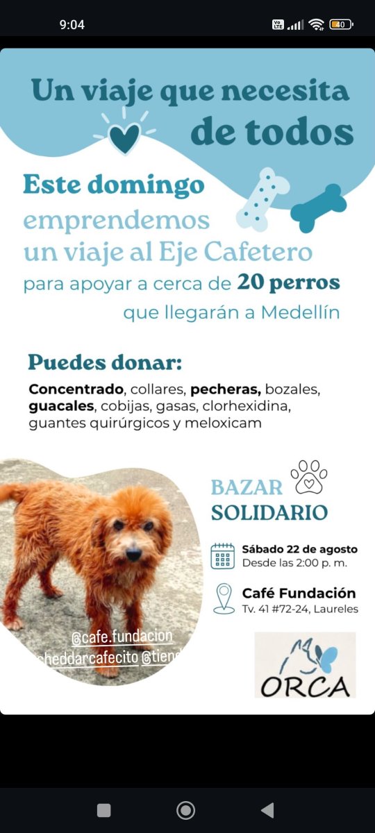 dianalunareja's tweet photo. MEDELLÍN, hoy sábado estaremos recibiendo donaciones para animales afectados en el eje cafetero.
Toda la tarde hasta las 6pm en @FundacionOrca, calle 41 #72-24 en Laureles.
Trae tu donación y te tomas un cafecito rodeado de los animales que ellos rescatan. https://t.co/dqVSuOBBRn