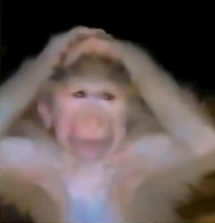 lvssmora's tweet photo. Yo cuando le metan gol a chivas | yo cuando le metan gol a xolos https://t.co/ZHKfzzfBuP