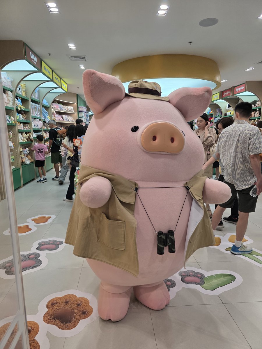 thisishyjx's tweet photo. ยัยหมูชมพูตุวนี้ น่ารักที่สุด 🥺🥺🤏🏻 https://t.co/defXI0mohG