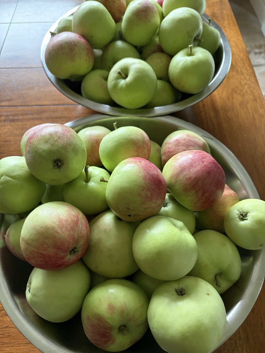 redasells's tweet photo. Few things bring me more contentment than growing my own stuff. Future dream setup for local climate will be apples, plums, cherries, raspberries, saskatoons, haskaps. Fat piece of land just outside the city

Keep the lambo I want 5 acres and a nice truck https://t.co/UgcILXYy9R