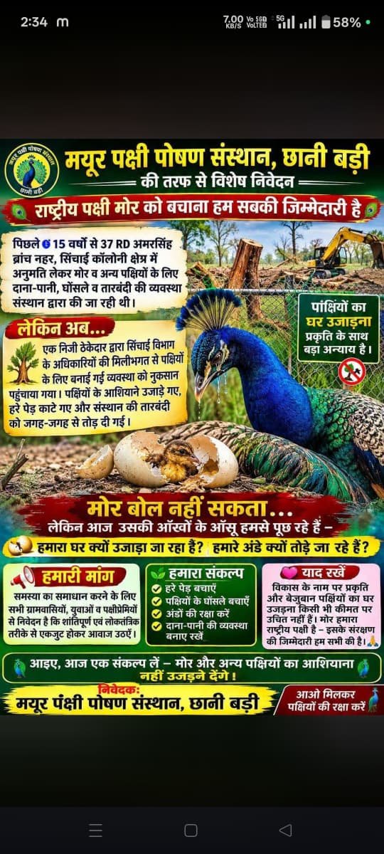vikramsinghv943's tweet photo. छानी बड़ी भादरा
राष्ट्रीय पक्षी मोर मयूर के संरक्षण और संवर्धन के लिए वर्षों से जनसहयोग से विकसित किए गए आशियाने को उजाड़ना बेहद निंदनीय और दुर्भाग्यपूर्ण है।
@HmghPolice
@bhajalalbjp
@wrdrajsthan
@sureshrawat
@byadavbjp
@sanjay4india1
@sureshrawatIN
@narendramodi
@kkvishnoibjp https://t.co/XJNdicjmpZ