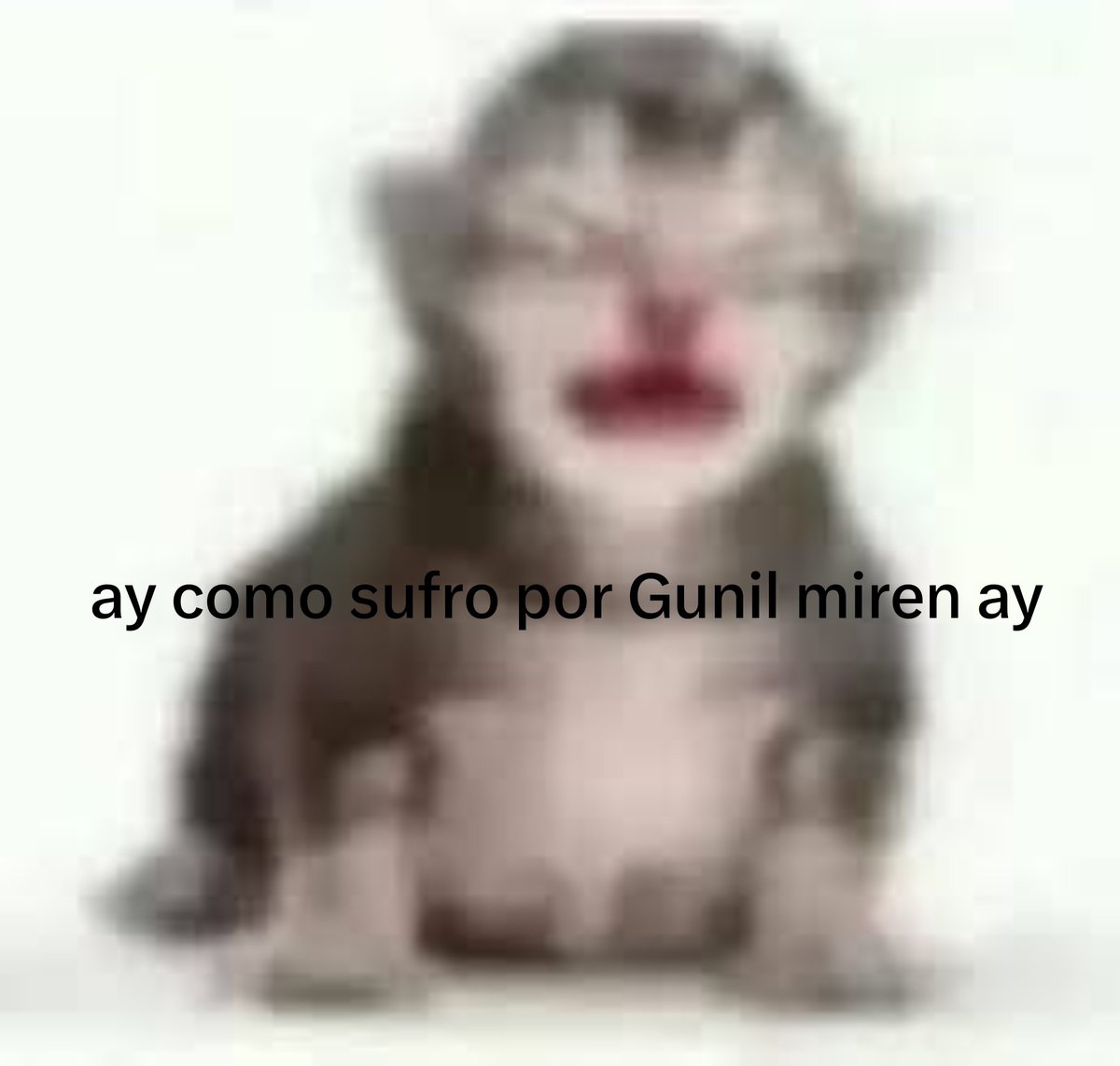 gunilsnack's tweet photo. Edité la imagen que me representaba antes del 13 de agosto para representar como estoy desde el 13 de agosto https://t.co/vKfDBuNBjx