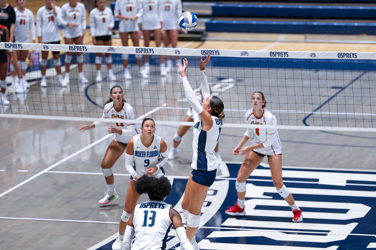 OspreyVB's tweet photo. Back making plays 💥

#SWOOP https://t.co/TW1dmxaXg5