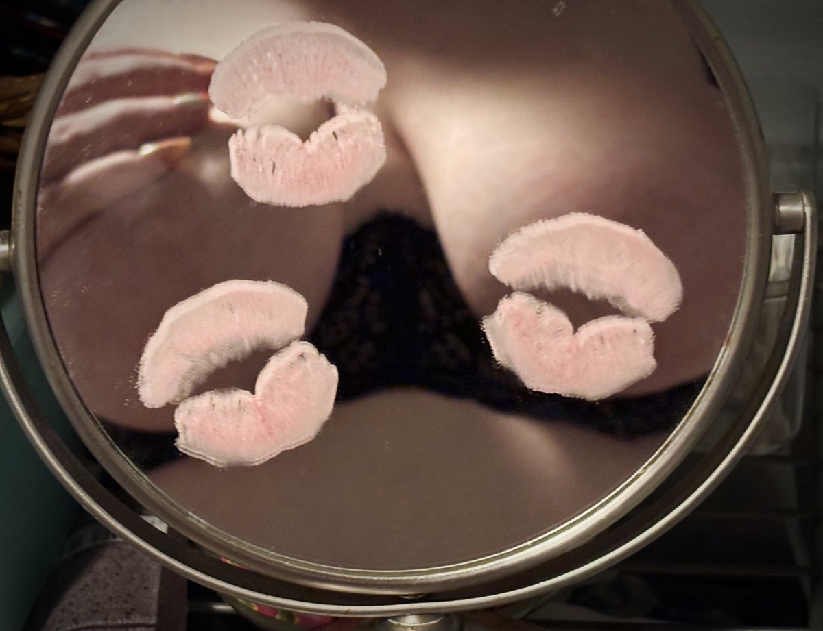 httpmush's tweet photo. Xoxo #nsfwtwt #nsfwtwtًً https://t.co/0ICMoeiNHA