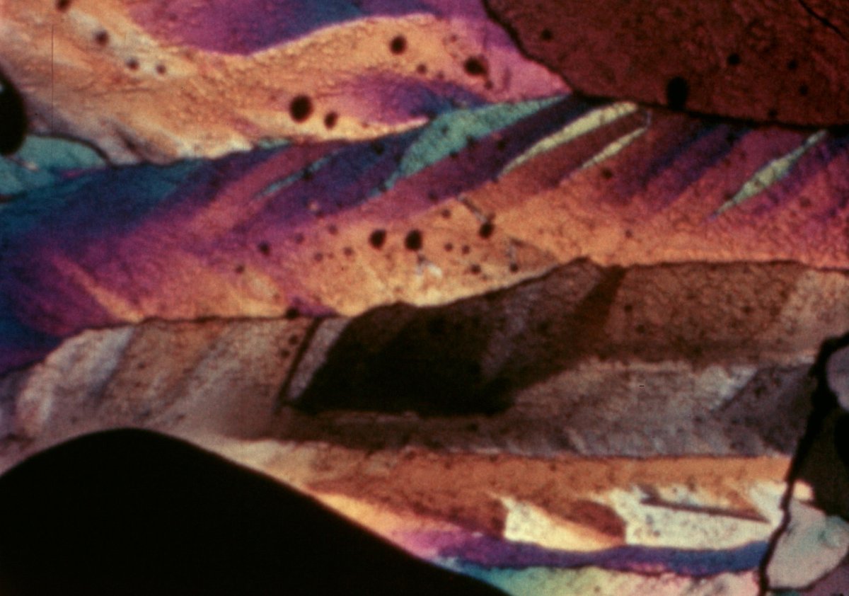 canyoncinema's tweet photo. #NowStreaming   

CANYON CINEMA: RECENT ACQUISITIONS 
Summer 2026

Featuring films and videos by: C Applewhaite, Scott Bartlett, Coni Beeson, Brice Bowman, Robert Nelson &amp; William T. Wiley, Margaret Rorison, James Sansing, and Linda Izcali Scobie

🔗 https://t.co/tUYFwxNHDE https://t.co/6GLgoSY64s