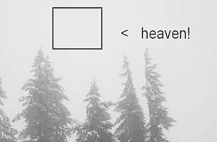 coldmemoriam's tweet photo. #promotwt, #moothunt, #introtwt
   　　　mem . memoriam
     　17  ﹔　any prns ﹔　dni in sp
new account, trying to be interactive
                   ♡ ノ ↺ to be mutuals 

https://t.co/6L5DnrpBPp 

#shedtwt #venttwt #edrtwt #998twt #bsdtwt #csmtwt https://t.co/NYXkPQBKdw