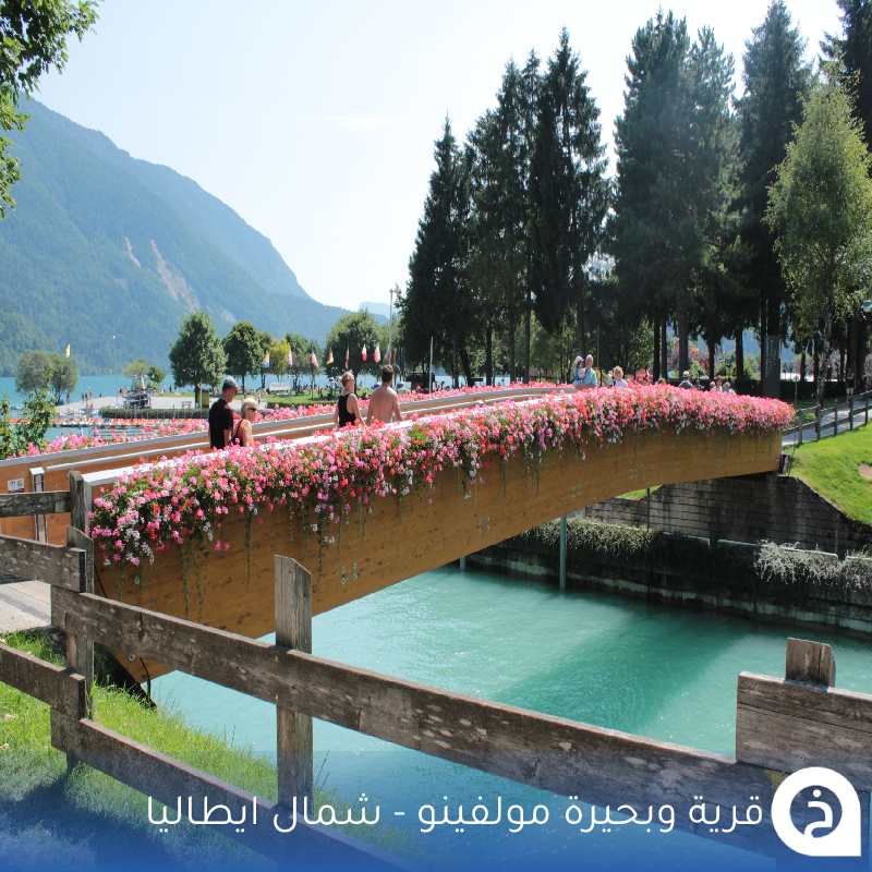 TouristMapsApp's tweet photo. مولفينو #إيطاليا🇮🇹

إذا حاب تشوف خُلاصة جمال #الشمال_الإيطالي في مكان واحد، روح لهذي القرية الفاتنة اللي تبعد حوالي "ساعة" عن بُحيرة #جاردا. طبيعة خضراء، جبال شاهقة، وبُحيرة تُعتبر من أجمل بُحيرات إيطاليا 🌲🏔️🌊🌺🌁💚💙😍↓
Molveno
📍https://t.co/0AL0mVD6QM
• تغطية لزيارتها:
🎞️https://t.co/lkH2RRQb6s

• مُضاف في خريطة إيطاليا السياحية.