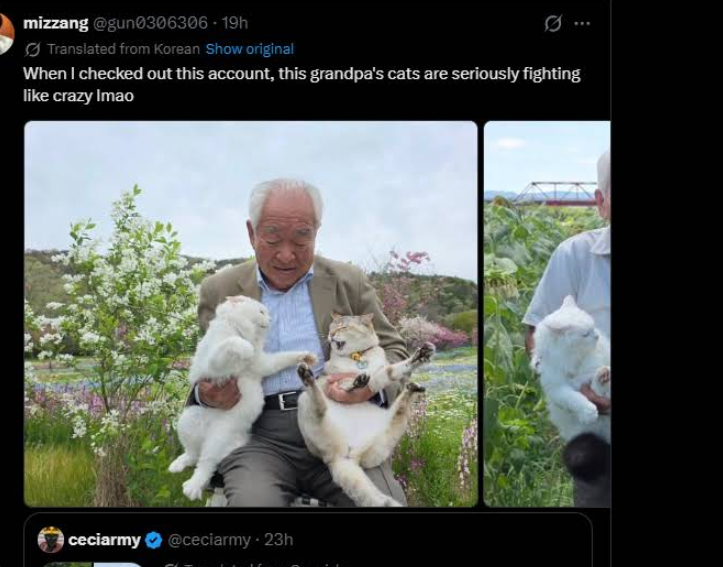Tradexeee's tweet photo. 8M IN LESS THAN 24H

This photo of this grandpa with two cats is going giga viral as a symbol of True Happiness

Life went Millions months ago, this photo will go giga viral

people are finding more photos

https://t.co/40RJ7eSnZ4 https://t.co/GcKe5zgvIo