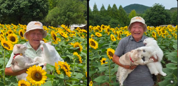 Tradexeee's tweet photo. 8M IN LESS THAN 24H

This photo of this grandpa with two cats is going giga viral as a symbol of True Happiness

Life went Millions months ago, this photo will go giga viral

people are finding more photos

https://t.co/40RJ7eSnZ4 https://t.co/GcKe5zgvIo