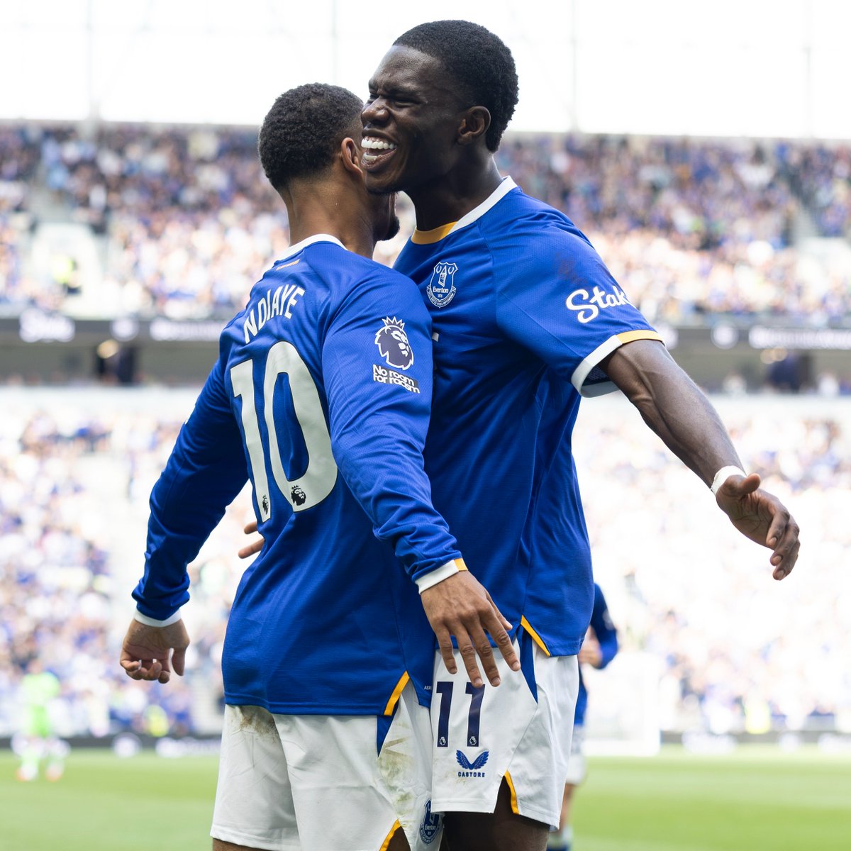 Everton's tweet photo. Pure passion. This is what it means. 💙 https://t.co/LzClxROh2D