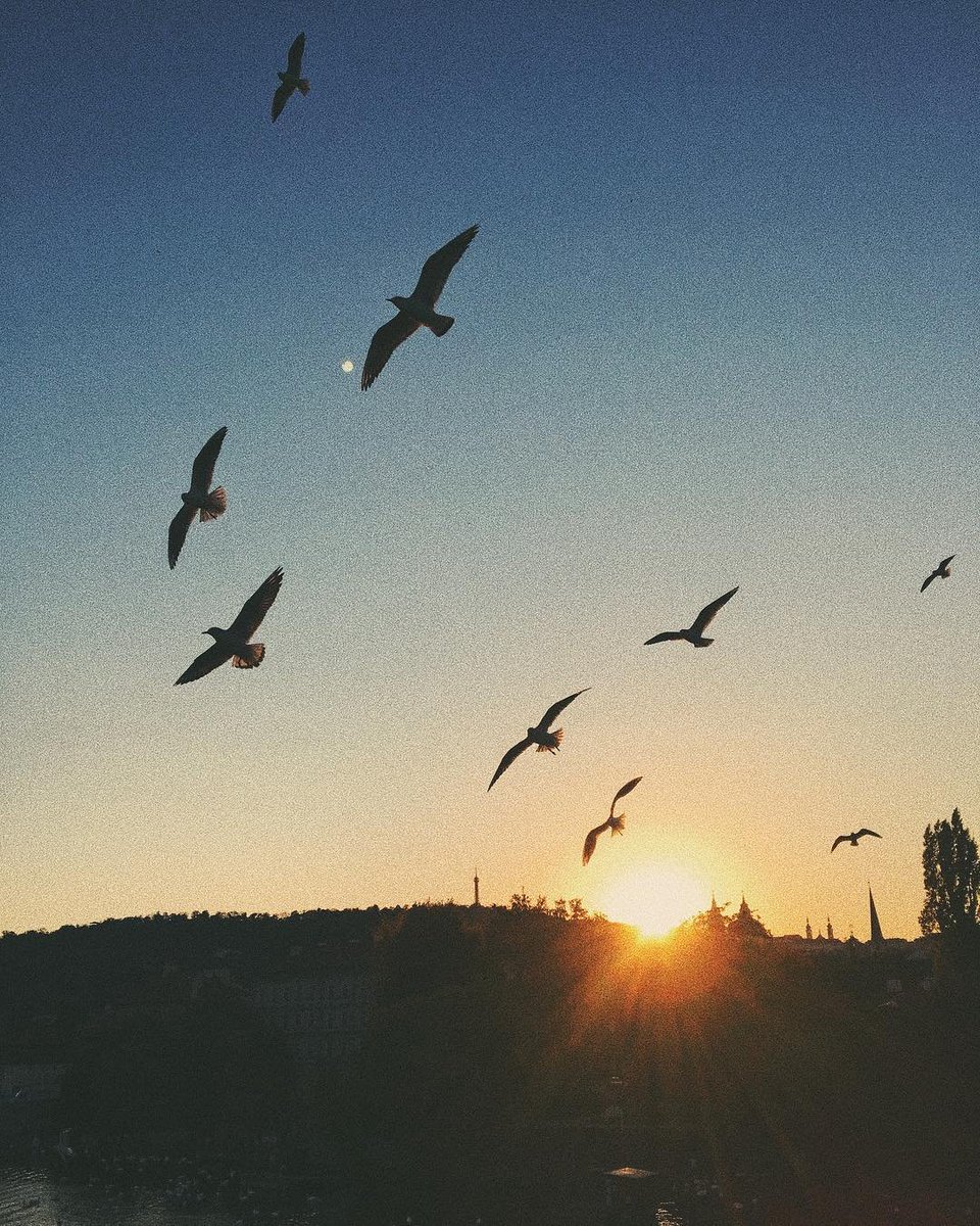 Laura_66aMCC's tweet photo. The sunset is just right, and the evening breeze is gentle.
Watching the birds fly across the sky, I suddenly realize that ordinary, quiet days are beautiful too. 🌅 https://t.co/3DfCtgej4C