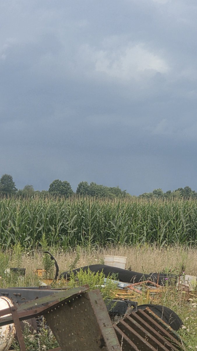 TheRealNukaDude's tweet photo. @EricWFMJ Clouds getting dark and she's talking in Vienna https://t.co/78YOMHEmXO