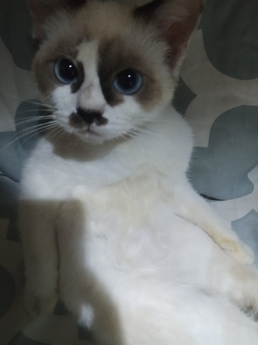Nikyuut's tweet photo. let me eep bruh 😑 https://t.co/Hb7tVSc7Ue