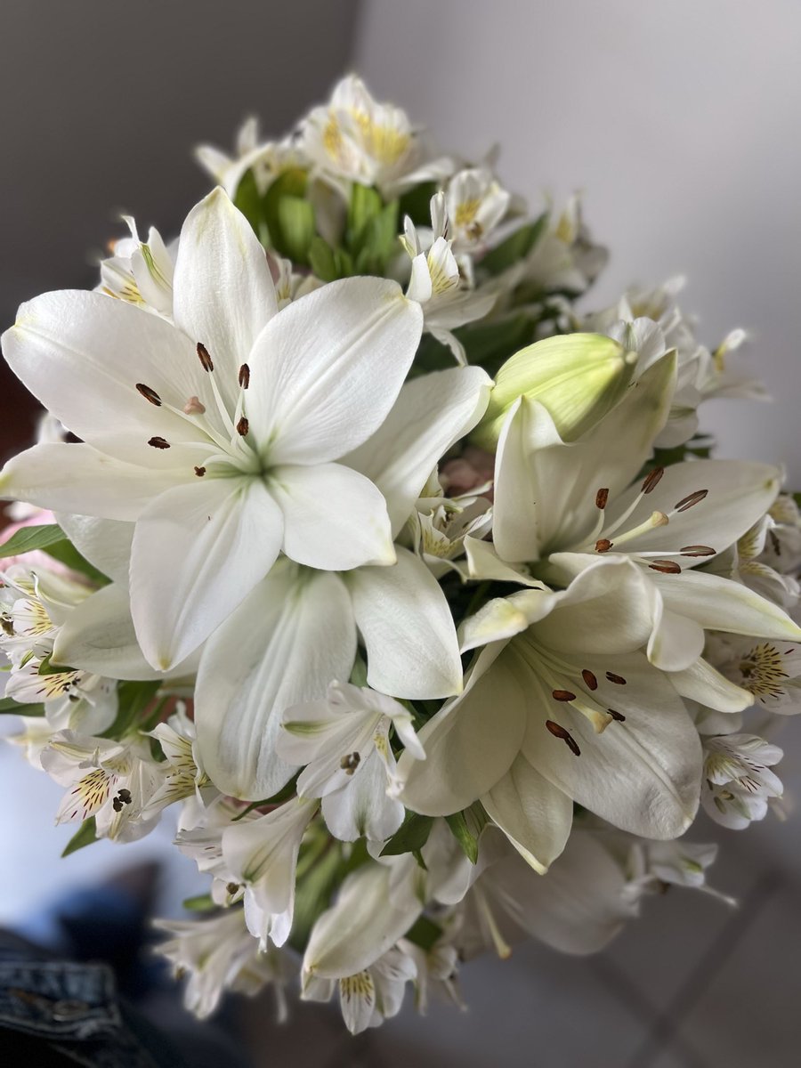baleriaramirez's tweet photo. nunca antes me habían regalado lilies blancas y ahora estoy enamorada de ellas 😍 https://t.co/P9NmgE2FDF