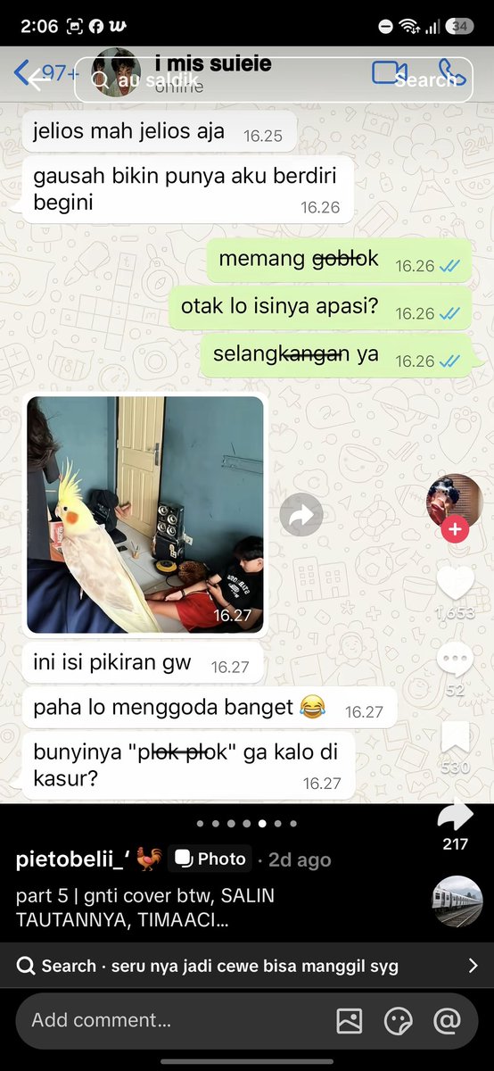 mengmiongortu_q's tweet photo. GUYS..ASAL KALIAN TAU DISINI JAM 2 DAN GW UDH NGANTUK BGT, TAPI LIAT NI AU MATA GW LANGSUNG SEGER SYIALAN😭 BAHASA NYA KASAR BGT WOI...TIKTOK LOH KAK ITU ASTAGAA, GW SENYUM DARITADI KESALTINGAN KEK ODGJ https://t.co/o6aLHocU1o