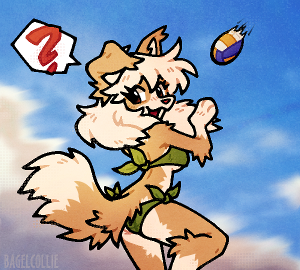 bagelcollie's tweet photo. Did you say something ? 🏐 https://t.co/4OYWpOlTjt