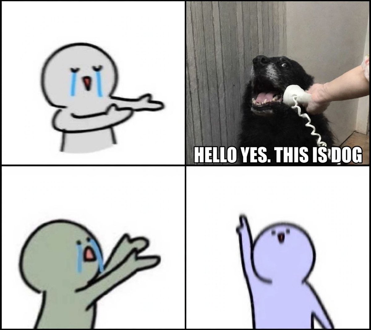 yesdogmeme's tweet photo. The call we’ve all been waiting for. https://t.co/3gjA9dmXzC