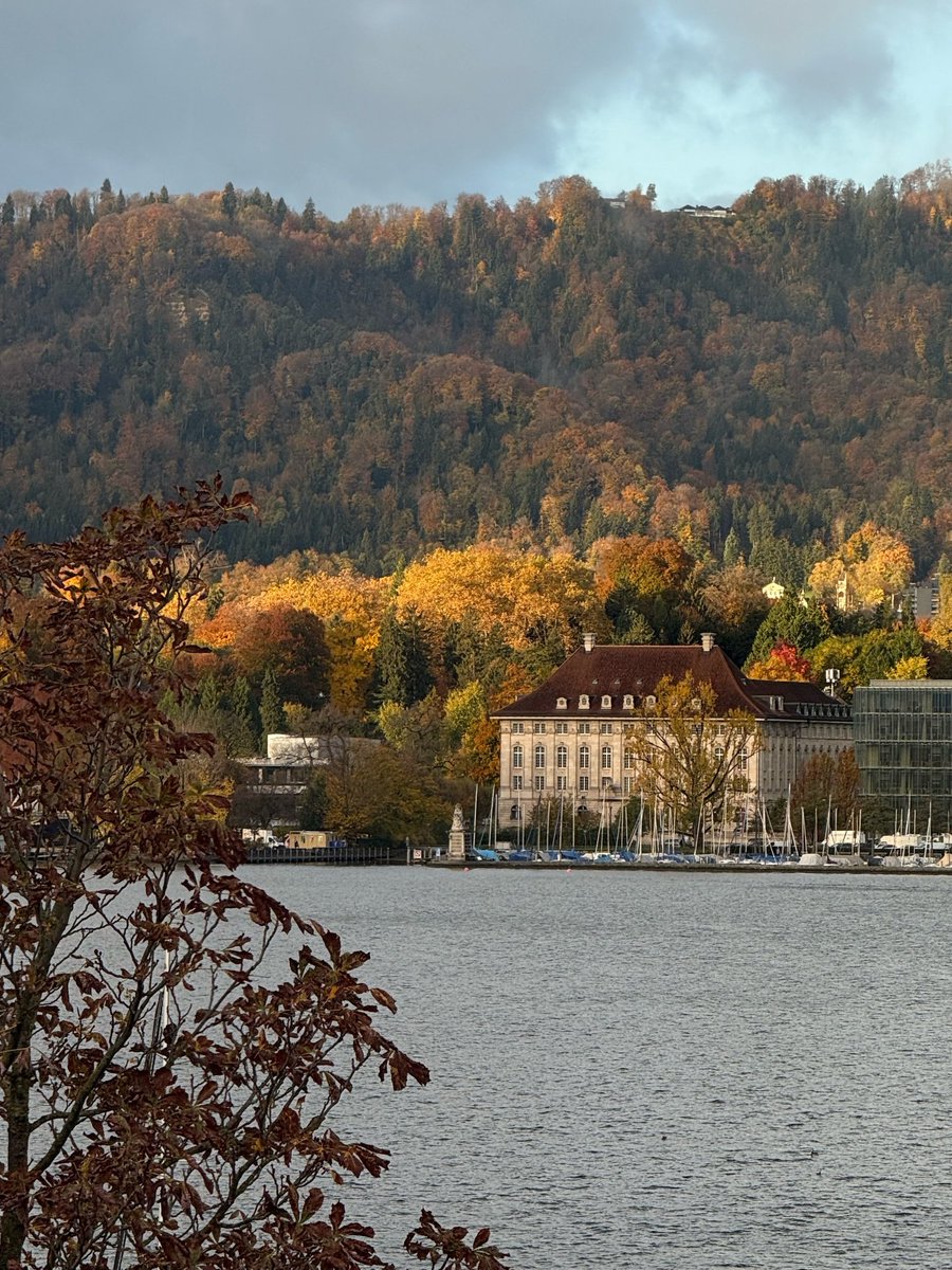 echoesofworld's tweet photo. autumn in Zurich https://t.co/tXKxo7TKlJ