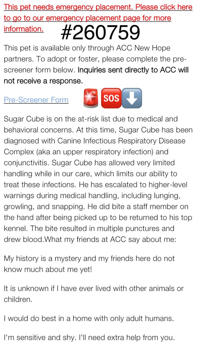 magalys_rios's tweet photo. #Foster #Pledge4Rescue
#Adopt
#SugarCube #260759
🆘KILL COMMAND ‼️MEDICAL & BEHAVIOR 🚨
Upper Respiratory Infection and FEARFUL‼️
Read Bio
NYCACC Queens
7 yr old boy 28.2 lbs
Bio⬇️
https://t.co/EX01DcJoNo
#RESCUEonly ➡️🆕Hope Partner
DM @notthesameone2 https://t.co/et01Q9zHeA