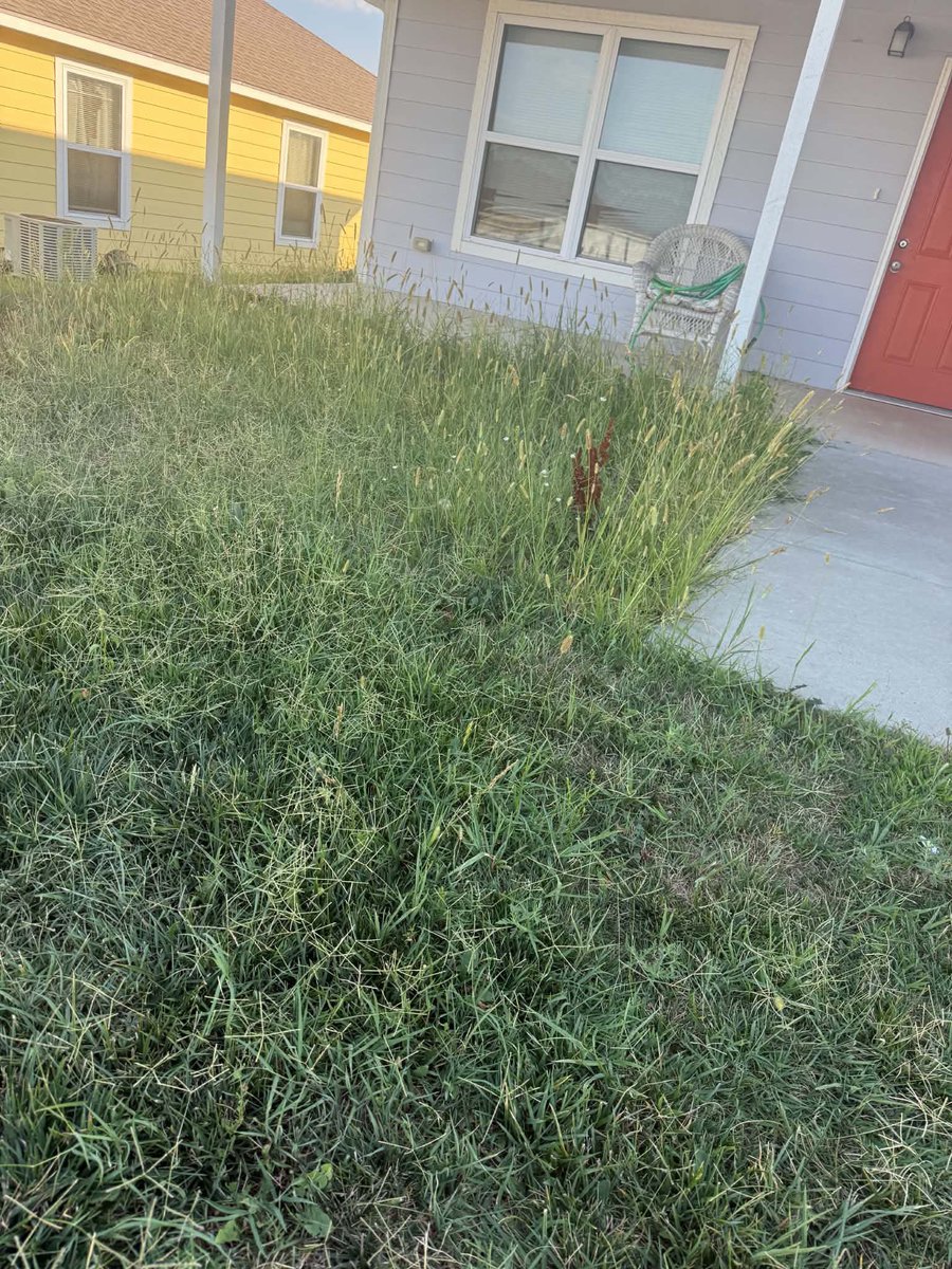 iamrodneysmith's tweet photo. Rylee of  El Dorado , KS  who is taking part in our 50 yard challenge adds another to her name ! https://t.co/rqzpRm8mNc