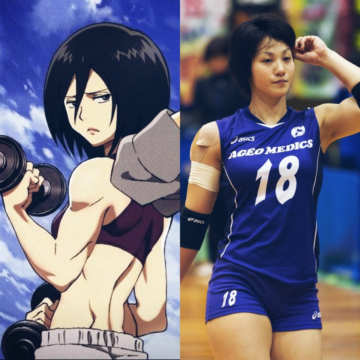 kasaluvrr's tweet photo. ꕥ  —  i'd  like  to  think  mikasa has a body type similar to volleyball player shiho yoshimura ܀ https://t.co/5tOtdiQf9U