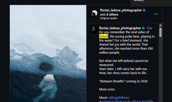 NoticiasManya's tweet photo. The polar bear Pubity JUST posted has a name?

Pubity post from 10 minutes ago: https://t.co/oZ6f9aJaF4

He's going viral the past week and is getting meme'd

Proof of name: https://t.co/JZKRBq8Efh https://t.co/emAmGmaRCb