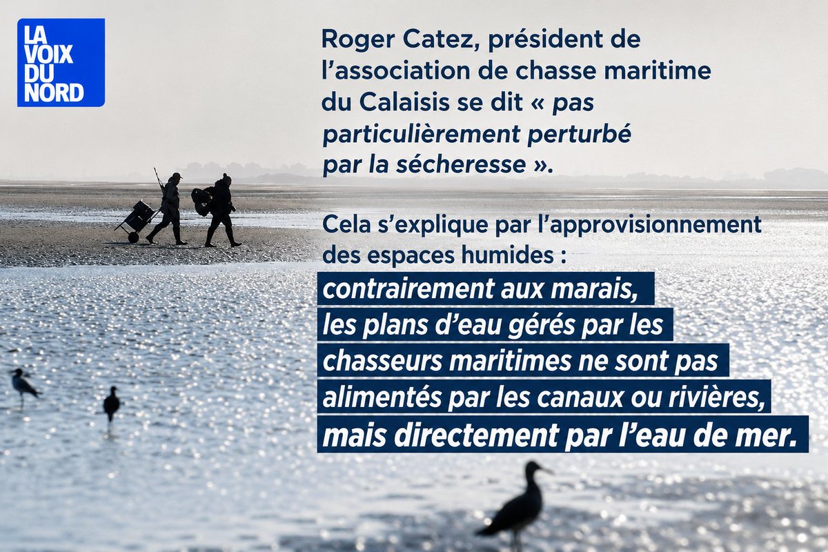FrancAller_info's tweet photo. On ne rappelle jamais assez les évidences ☝️
(mais bon, vu depuis les quais du canal Saint-Martin, évidemment…)
#Sécheresse #GibierDeau #DPM #Littoral
#IlsSachentNousChassons
#Chasse #Chasseurs #ChassePartage
Lire : Sécheresse dans le Calaisis : les chasseurs maritimes moins touchés que les autres,
https://t.co/hPcaHOfZn6