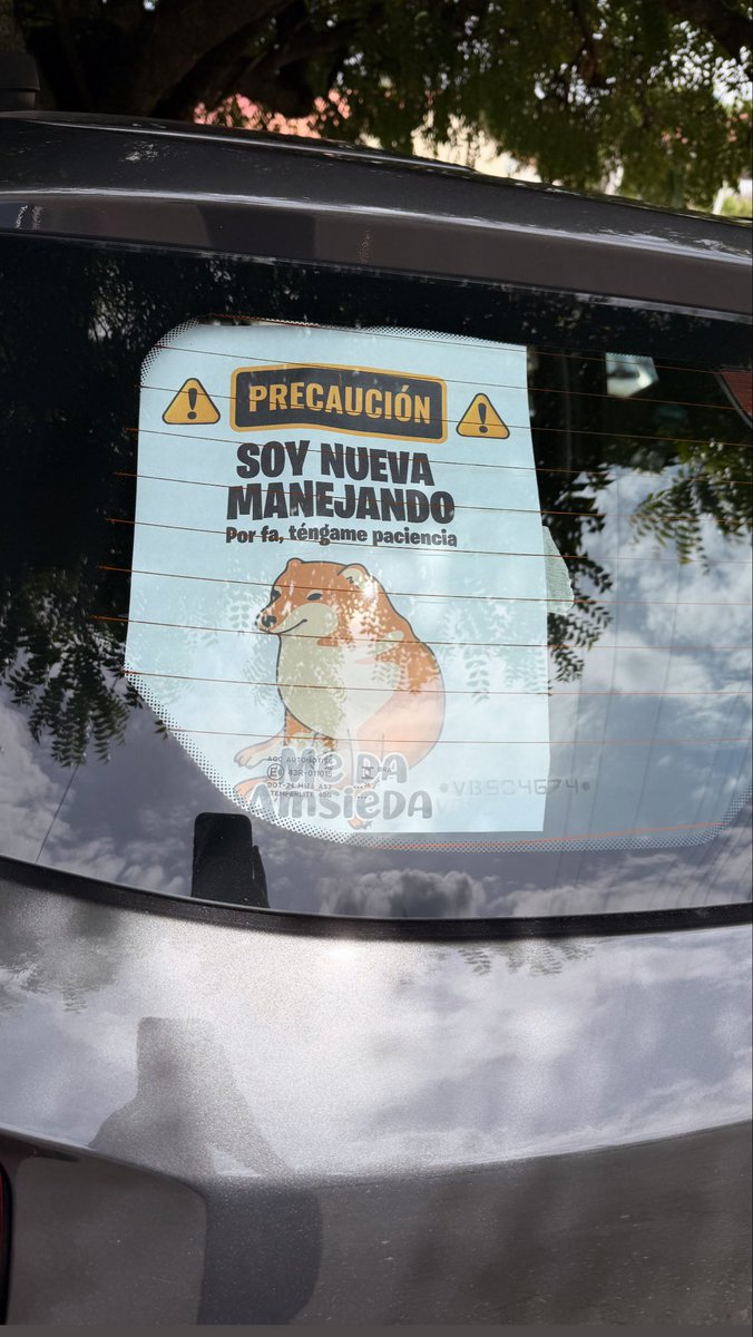 PookyBooVT's tweet photo. Tuve que tomar ciertas medidas a la hora de manejar… Creen que la gente lo vea y si me tenga paciencia? 👉👈 https://t.co/efcdgQsJrV