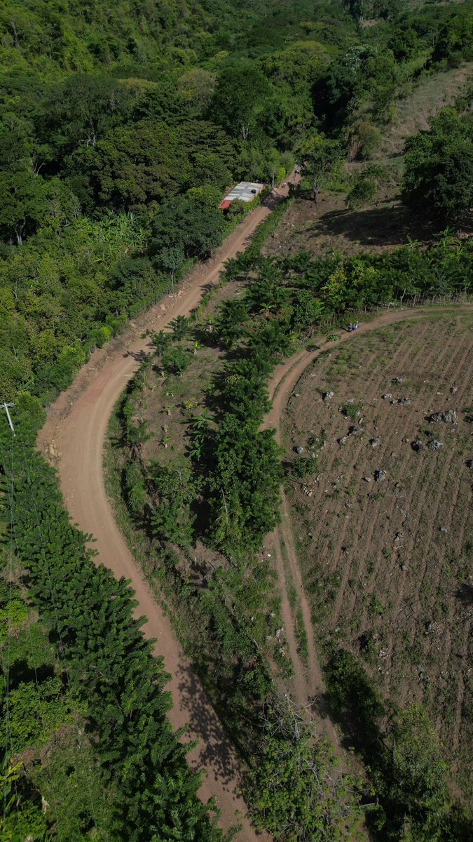 GobdelCesar's tweet photo. ¡La gobernadora @elviamilenasd inició la construcción de 17,89 kilómetros de vía que, desde la zona rural de La Paz, contribuirán a la productividad de toda la región!

⛰️En la Serranía del Perijá hay una tierra que produce, unos campesinos que trabajan todos los días y un sueño que hoy comienza a hacerse realidad. 🌱

🛣️San José de Oriente, Filo Machete y Alto del Riecito son territorios de gente trabajadora que cultiva café, aguacate, plátano, tomate, cilantro, malanga y muchos otros productos que nacen de estas montañas.🍅

🧵