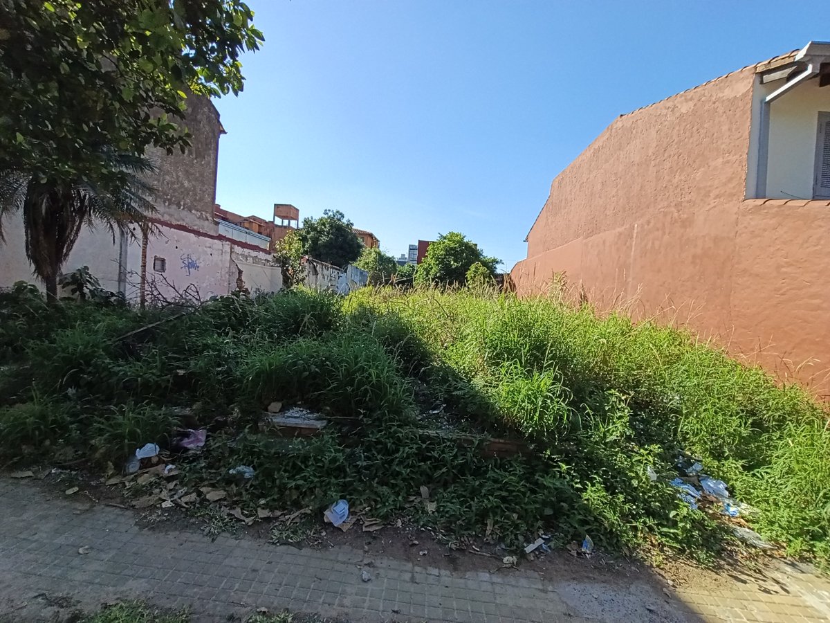 arol79's tweet photo. @luisbello_asu @AsuncionMuni  Solicitamos la intervención urgente ante el abandono de este terreno, ya fue reportado y limpiado varias veces. Urge aplicar las ordenanzas vigentes. Sanción. Sucre entre Denis roa Cnel. Cabrera.BoSan Cristóbal https://t.co/E1A6lM29bF