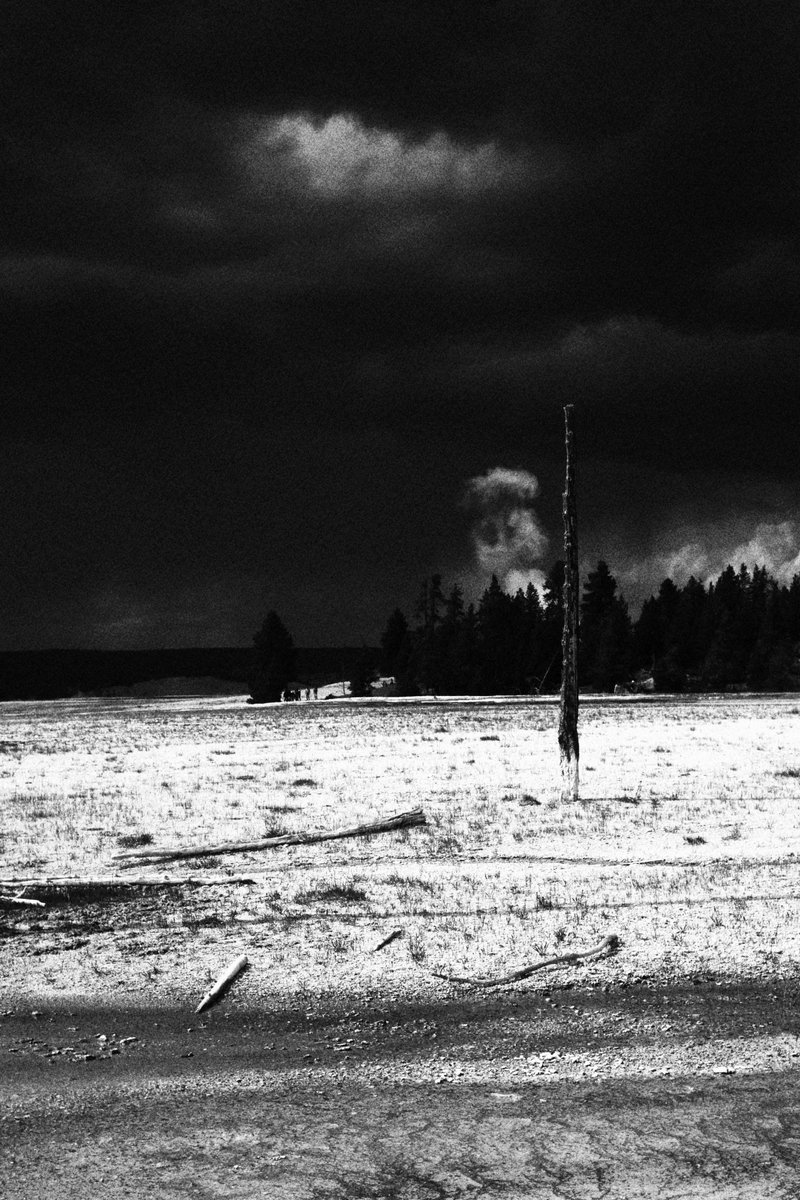 SceneKidSanta's tweet photo. for one afternoon at yellowstone I made the rare decision to take off my telephoto lens &amp; shoot with a 1970s 35mm pentax manual focus lens.  these are all straight out of the camera using canons built in b/w shooting mode https://t.co/ACV5nKmbLE