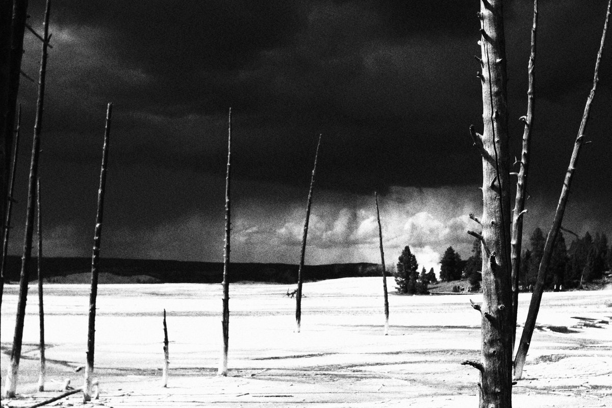 SceneKidSanta's tweet photo. for one afternoon at yellowstone I made the rare decision to take off my telephoto lens &amp; shoot with a 1970s 35mm pentax manual focus lens.  these are all straight out of the camera using canons built in b/w shooting mode https://t.co/ACV5nKmbLE