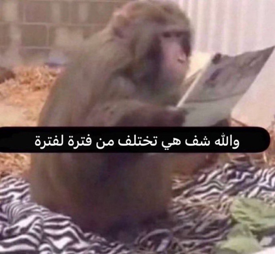 noormalperson's tweet photo. @1Albes @btbt381 @Klaq_v @Mo_Arsenal9 @imb4ever https://t.co/wjYX0WlsPa