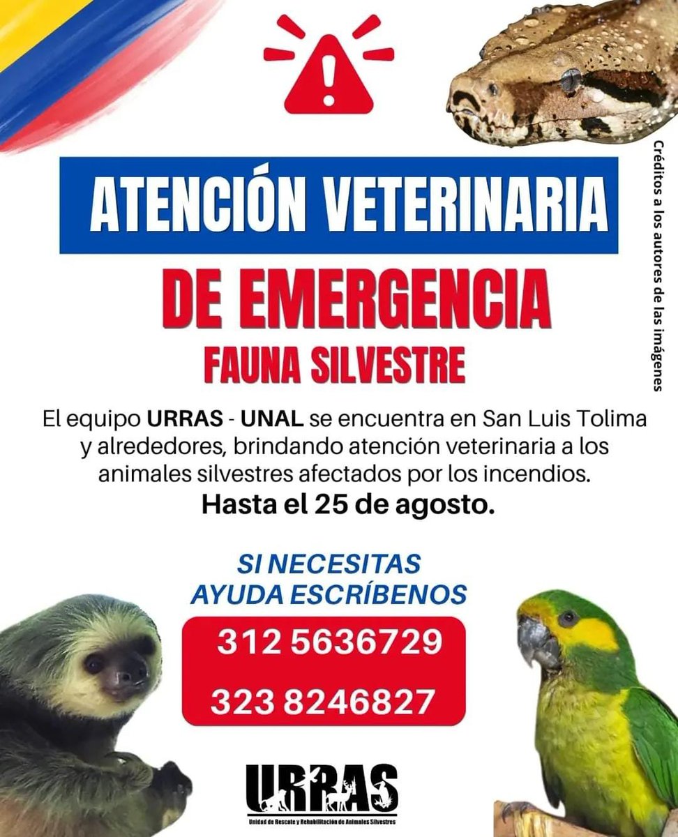 comunindividuo's tweet photo. @juanialferez https://t.co/H4f5O8F5N0
