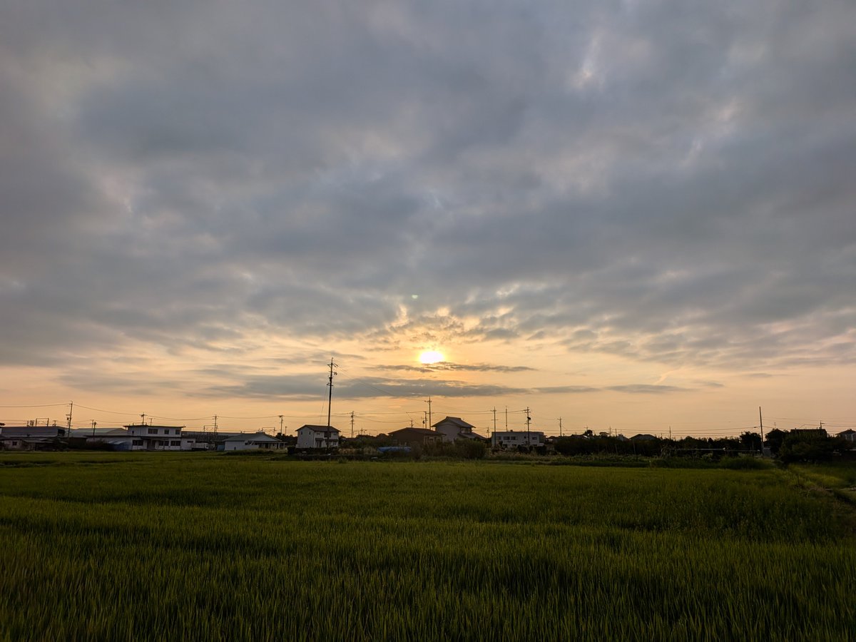 mico03151941's tweet photo. おはようございます 朝散歩 6時の空
オシロイバナ  サルスベリ

蒸し蒸し 汗だく (•ᴗ•; )

日曜日 ゆっくりしてね (*^^*)🍵☕🍹 https://t.co/O8i9YDrcQE