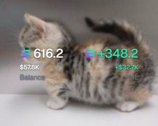 fluffiestcat63's tweet photo. Ended the day total +348 sol, -5 bnb and +2k on base and +2.8k on the fomo

total pnl =  $34k 

learnt a great lesson today and that is to never ever ever try and fight the chinese on new pairs ever again and to just sit on my hands more as i burnt early day p overtrading on bnb https://t.co/zRKuXFySJ8