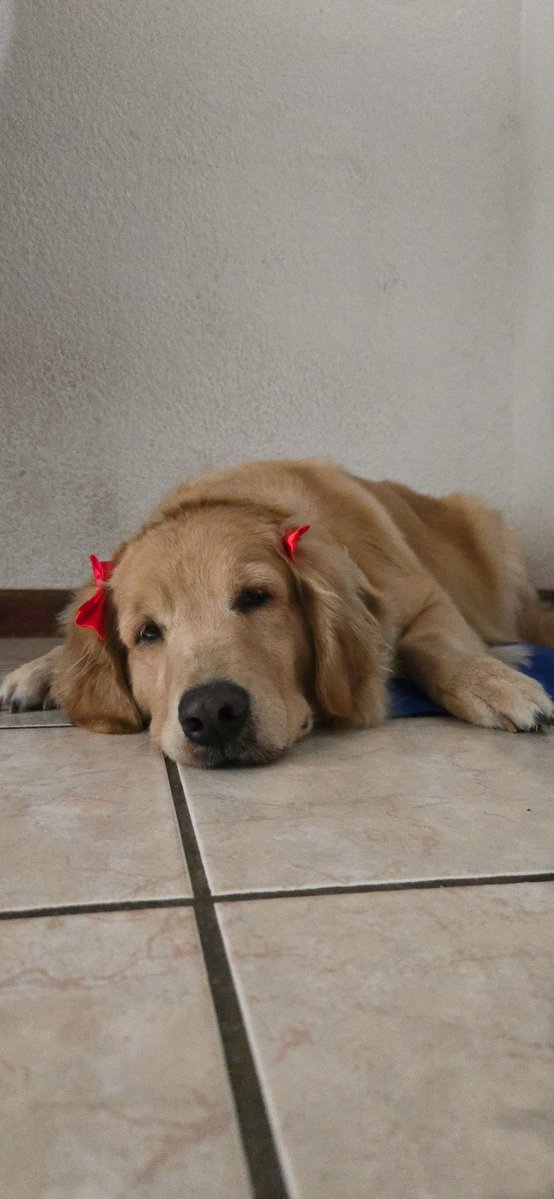_rojaskj's tweet photo. no me imagino una vida sin ti mi niña ❤️. https://t.co/9897OUgCWN