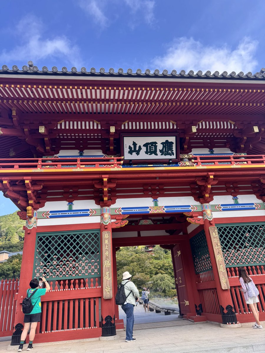 asuyuu5449's tweet photo. 勝尾寺
だるまさんがころんだ https://t.co/uNy4DdeZqf