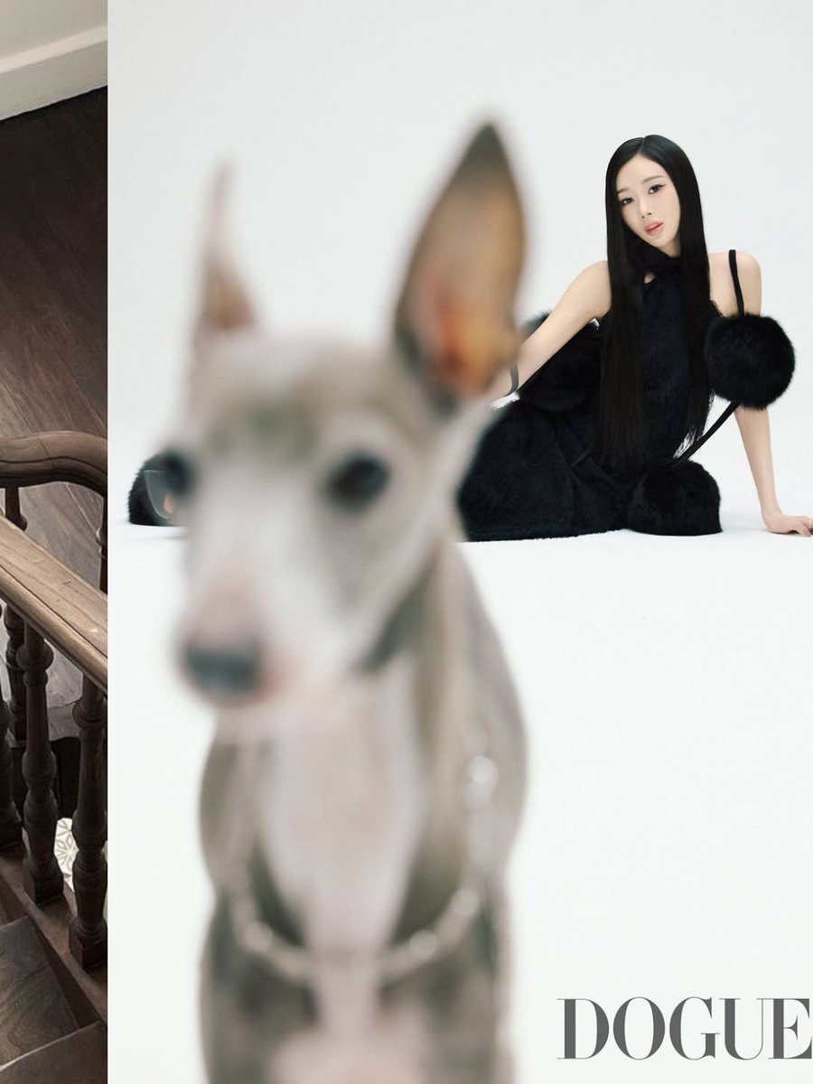 skylqa's tweet photo. vogue &amp;, dogue https://t.co/LDZtqsuSnA
