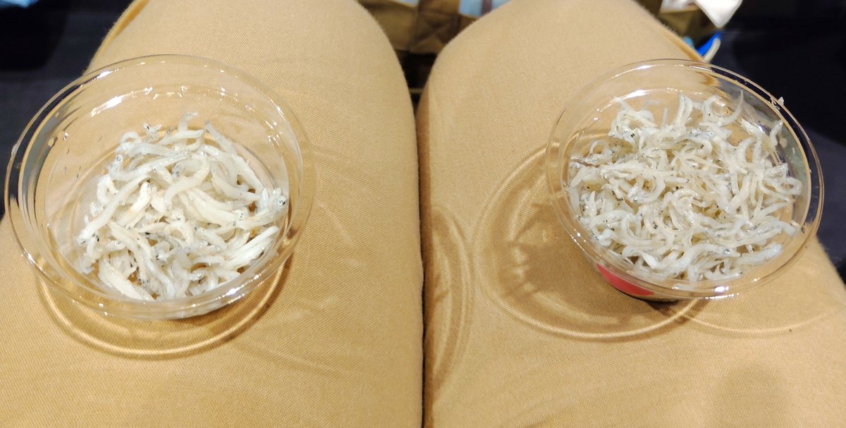 1994Bloono's tweet photo. 昨日のイベントでのしらすの食べ比べ。どちらも美味しかった☺️物産で買って帰ったしらす、お昼ごはんにいただきます🍚。(しらすのティッシュボックス🤣)
#須崎市
#南知多町
#おかしなサマースクールin愛知 https://t.co/6bEpzBVIz2