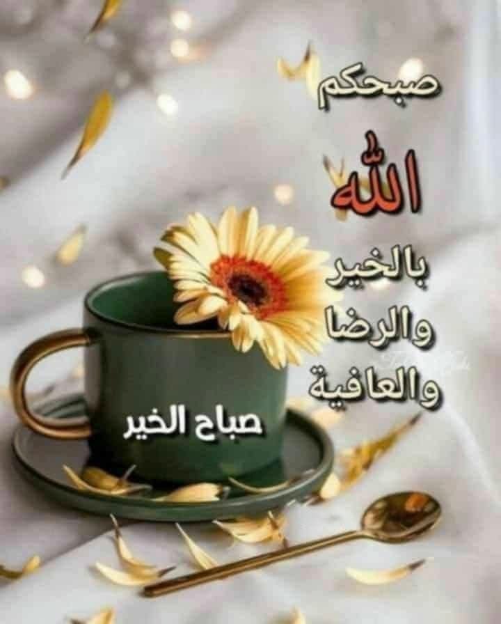 sami0772097451's tweet photo. اللهم في هذا الصباح، اجعلنا ممن توكل عليك فكفيته، واستهداك فهديته، واستغفرك فغفرت له، ودعاك فأجبته. اللهم اكتب لنا في هذا اليوم رزقاً واسعاً، وفرجاً قريباً، وتوفيقاً يرافقنا في جميع أمورنا، وافتح لنا أبواب فضلك من حيث لا نحتسب. https://t.co/oK8uY9zZDv