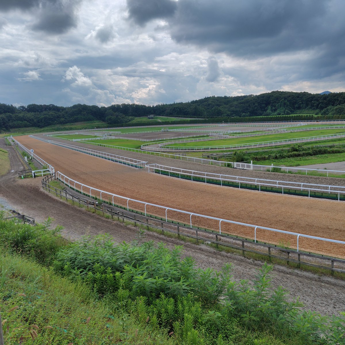 paradigmchange2's tweet photo. 久しぶりにノーザンファーム天栄で出資馬の見学してきました。めちゃくちゃ楽しかった！対応して頂いたスタッフの皆さん本当にありがとうございました✨ https://t.co/yxEGXIlbQi
