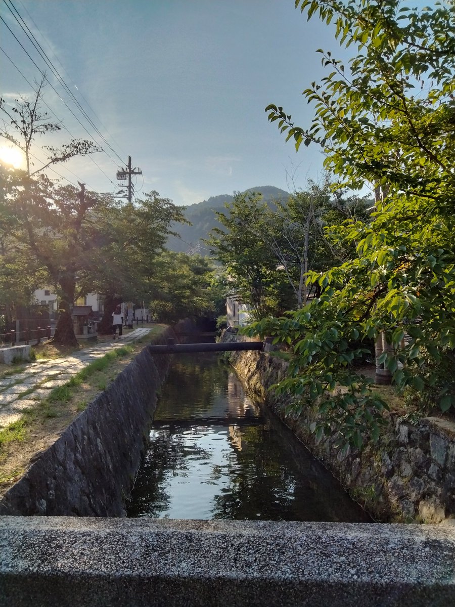 NPRLMS2xFS1DuUN's tweet photo. 今朝の #哲学の道
晴れ🌤️
暑い🔥 https://t.co/aHhxLs0GPi