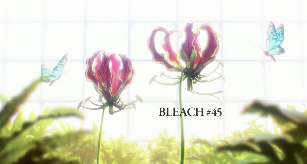 YoshidaShoyou's tweet photo. Ep 58 is one of the reasons I’m an anime fan. 

Eps 270-272 are in the hall of fame.

Eps 308 &amp; 309 are probably my most rewatched eps ever. 

Ep 366 was the love letter I always went back to.

But TYBW Ep 45 is the single greatest Bleach episode I’ve ever seen. https://t.co/VvzTZSPSJa
