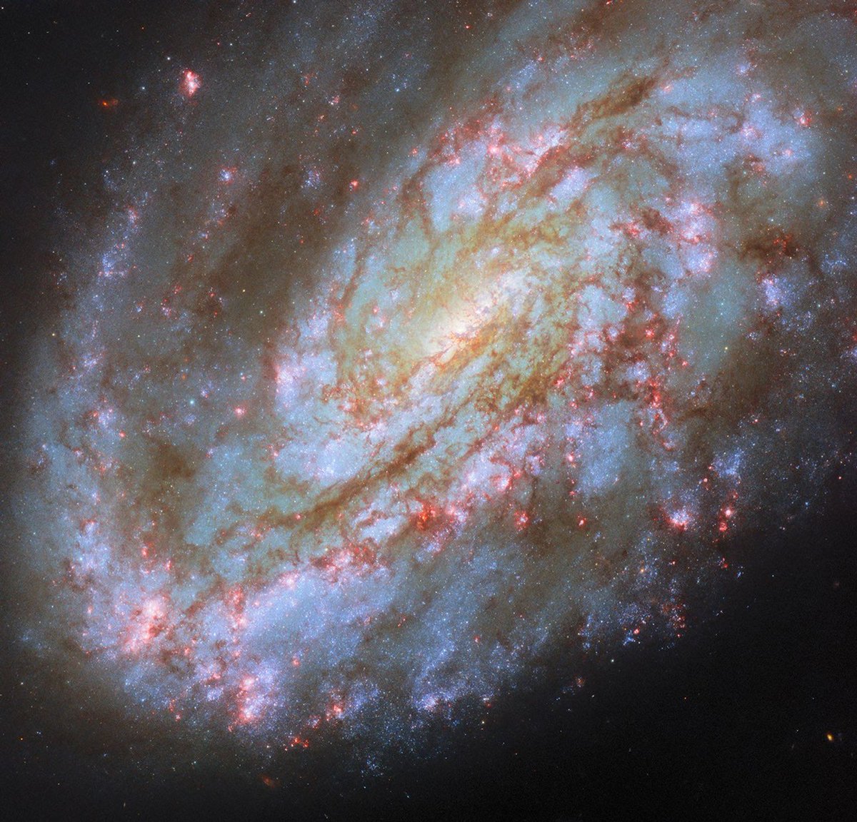NASA_Marshall's tweet photo. It's Virgo season ♍

NGC 4654 is an intermediate spiral galaxy in the constellation Virgo. It is classified as "intermediate" because its shape lies between spiral galaxies that have a bar across their centers and those that don’t.

MORE: https://t.co/JRffeejjfU https://t.co/5B37v1oS0O