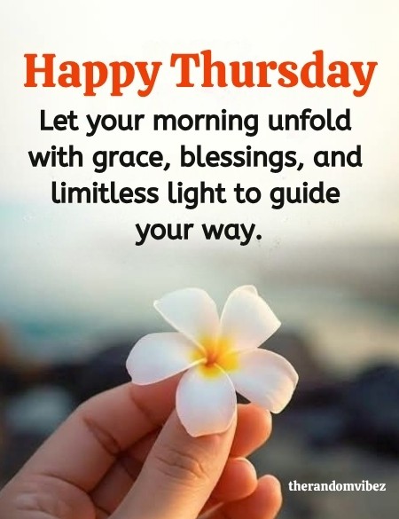therandomvibez's tweet photo. https://t.co/JSlp8BbTsM https://t.co/imMjQyMheU